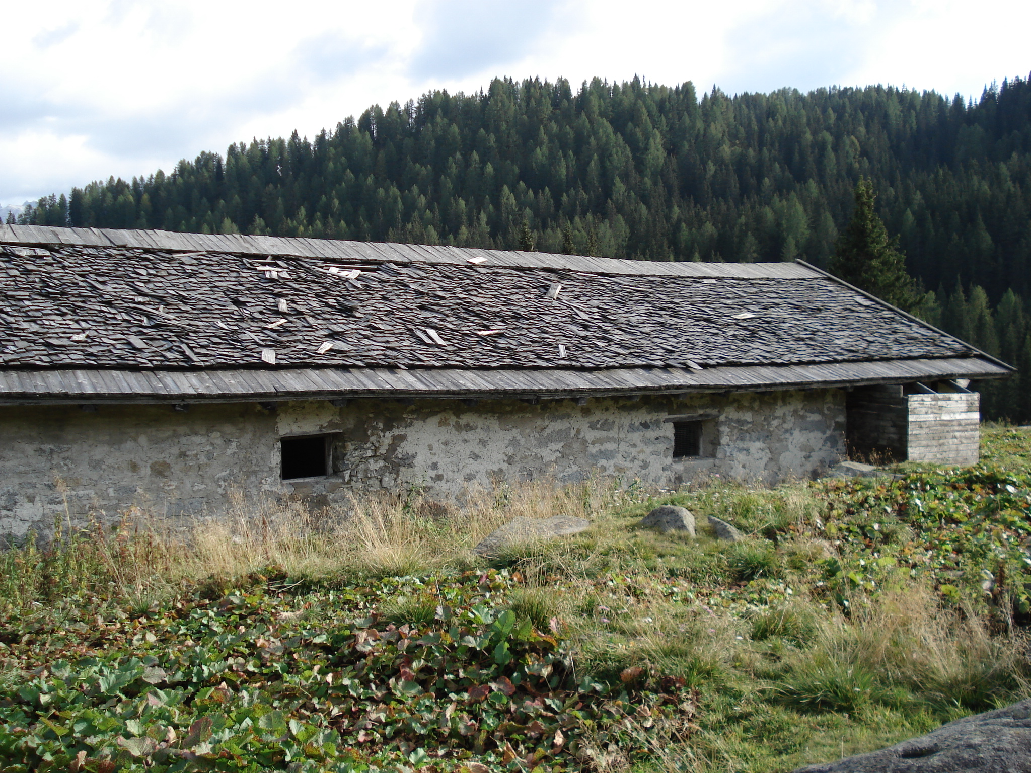 DSC00086
