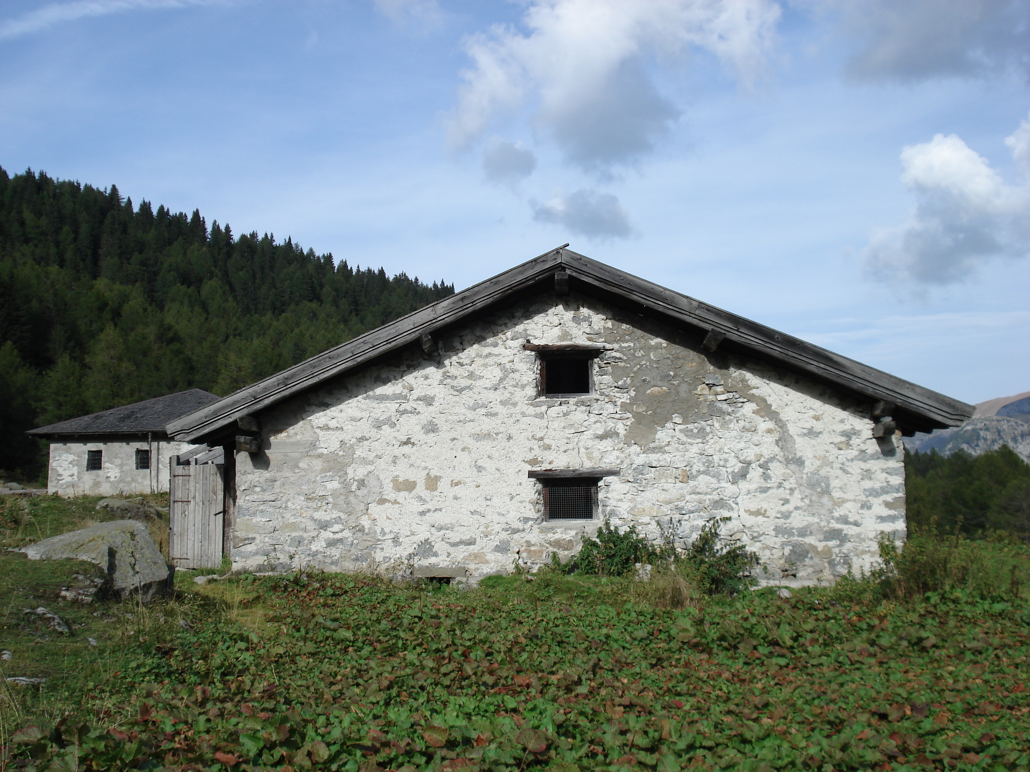 DSC00082